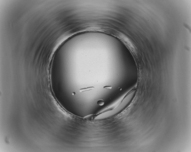 X0000097750808200803211650