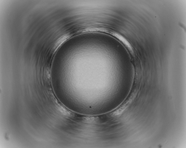 X0000097750809200803211650