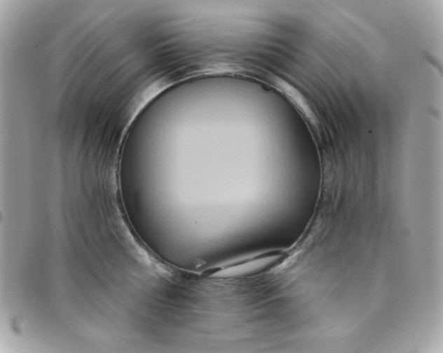 X0000097750810200803211650