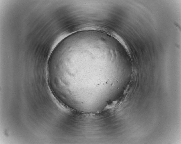 X0000097750811200803211650