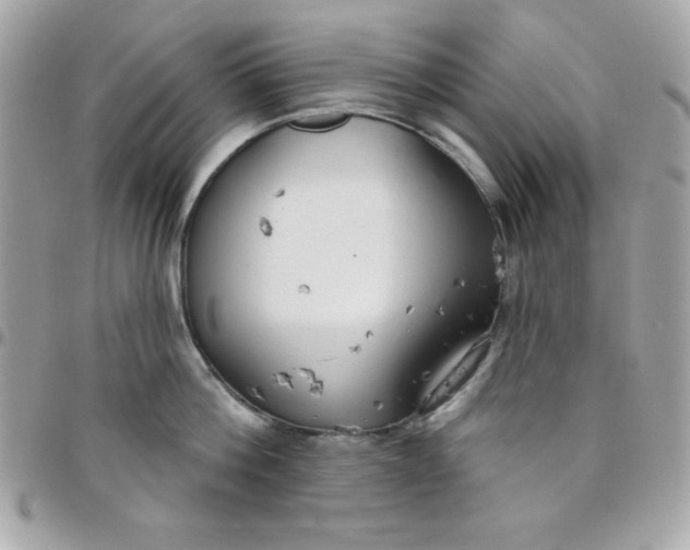 X0000097750812200803211650