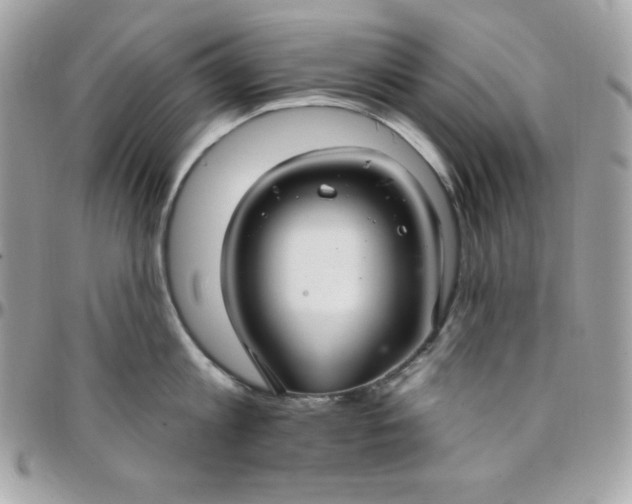 X0000097750813200803211650