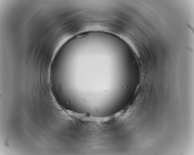 X0000097750815200803211650