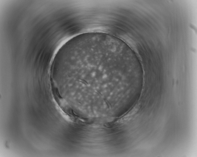 X0000097750816200803211650