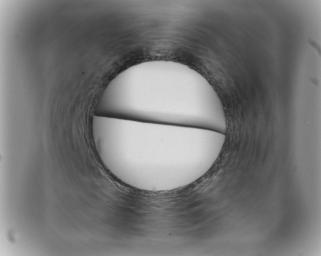 X0000097750817200803211650