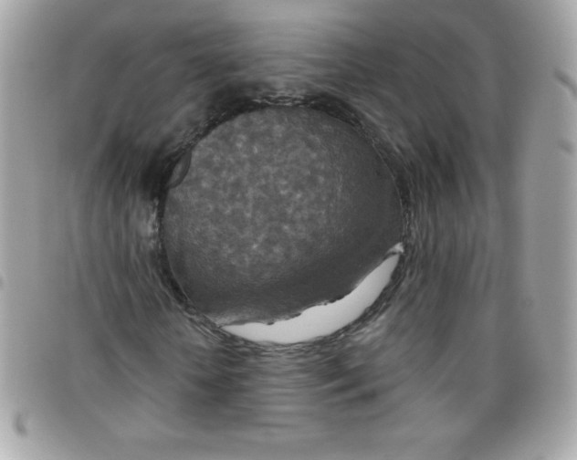 X0000097750818200803211650