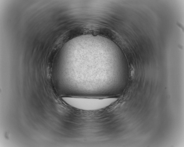 X0000097750819200803211650