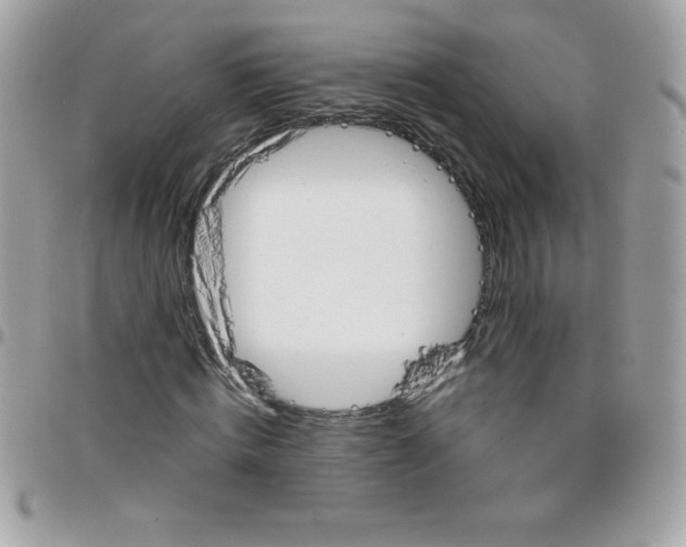 X0000097750820200803211650