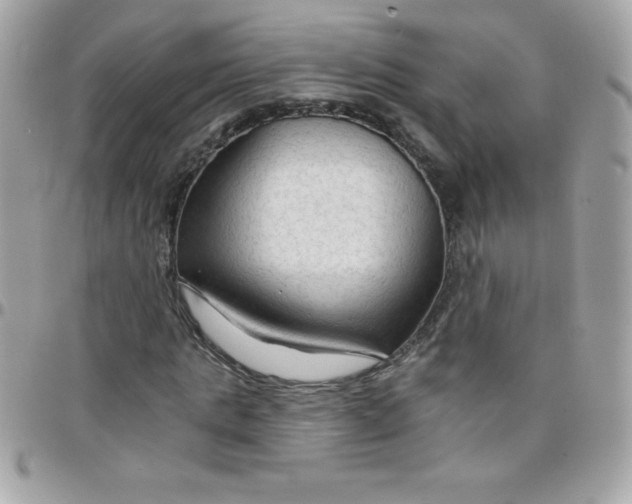 X0000097750821200803211650