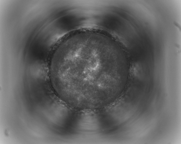 X0000097750822200803211650