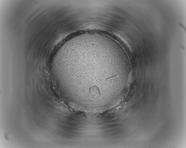 X0000097750823200803211650