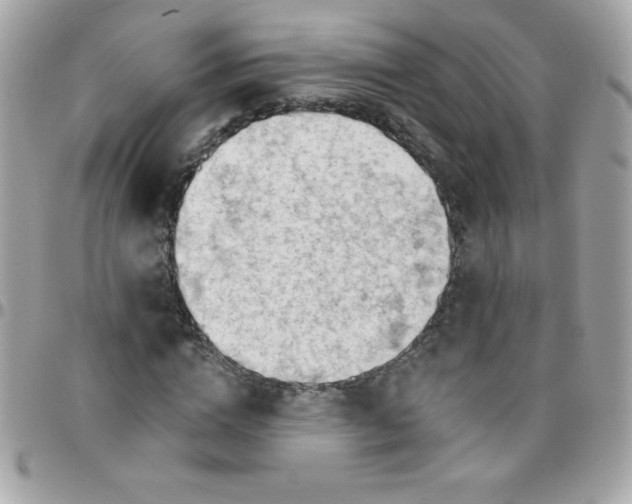 X0000097750824200803211650