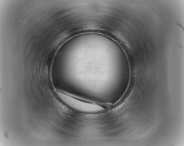 X0000097750825200803211650