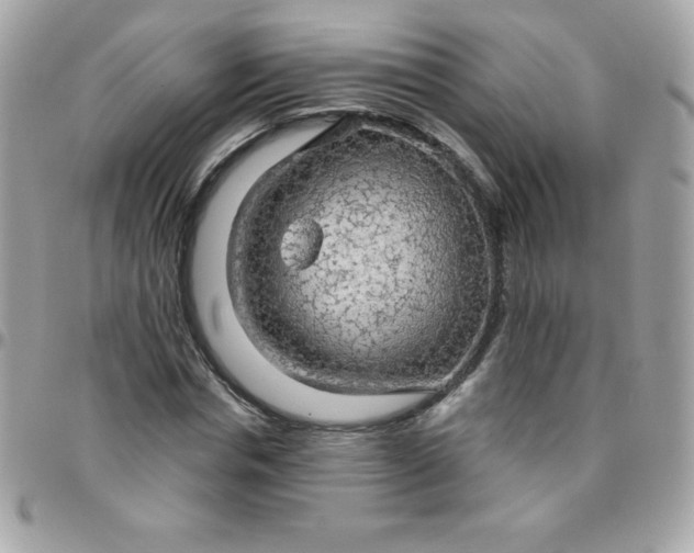 X0000097750826200803211650