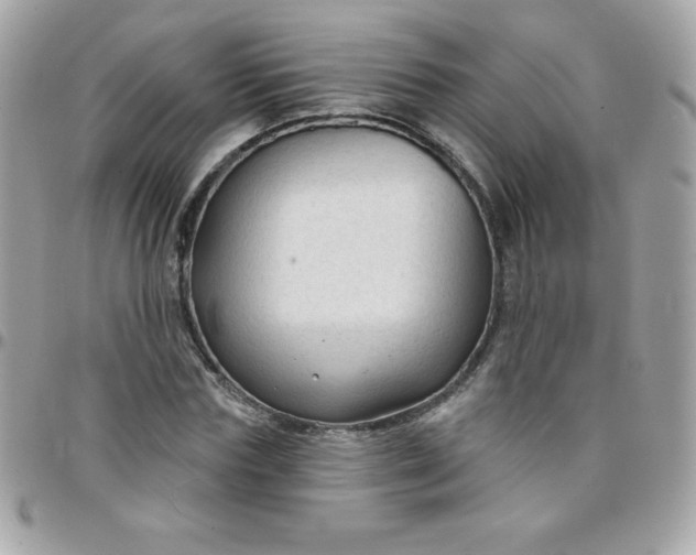 X0000097750827200803211650