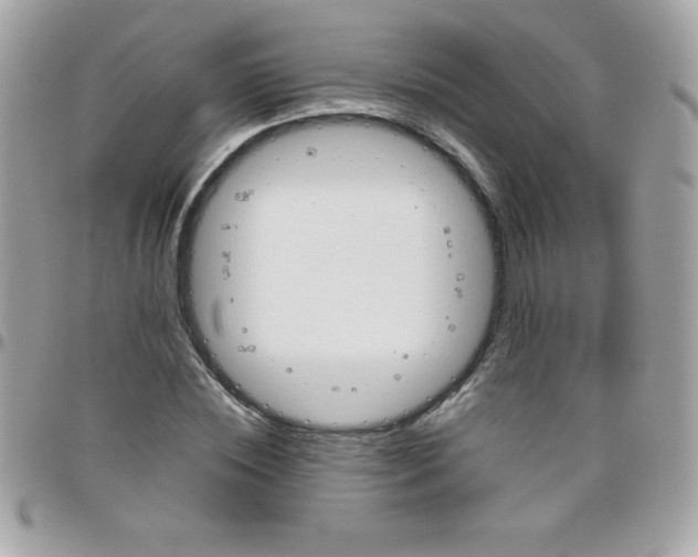 X0000097750828200803211650