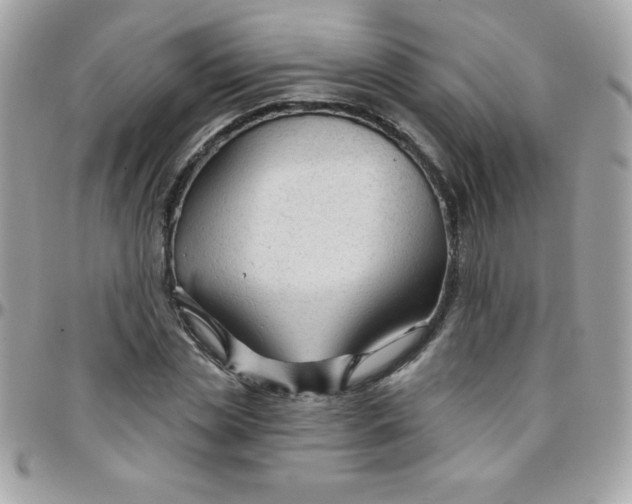 X0000097750829200803211650