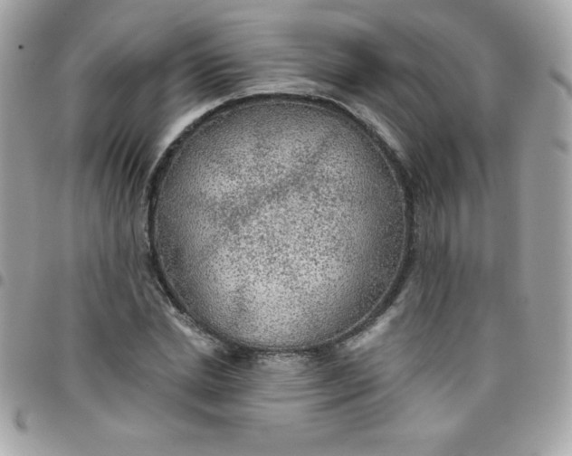 X0000097750830200803211650