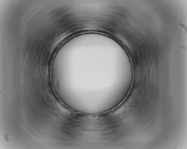 X0000097750831200803211650