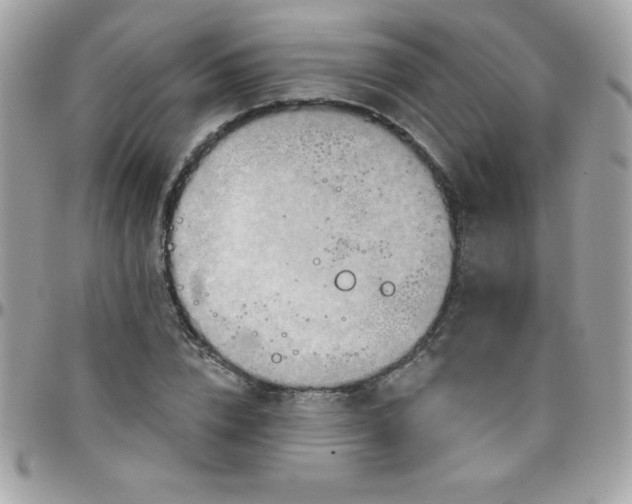 X0000097750832200803211650