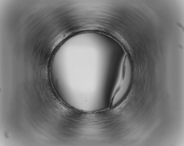 X0000097750834200803211650