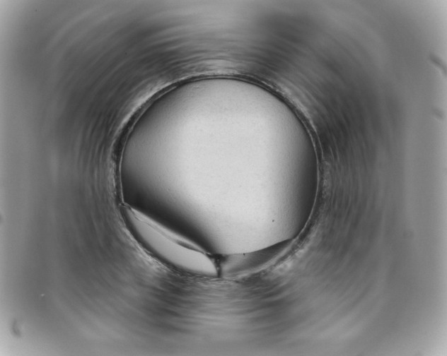 X0000097750835200803211650