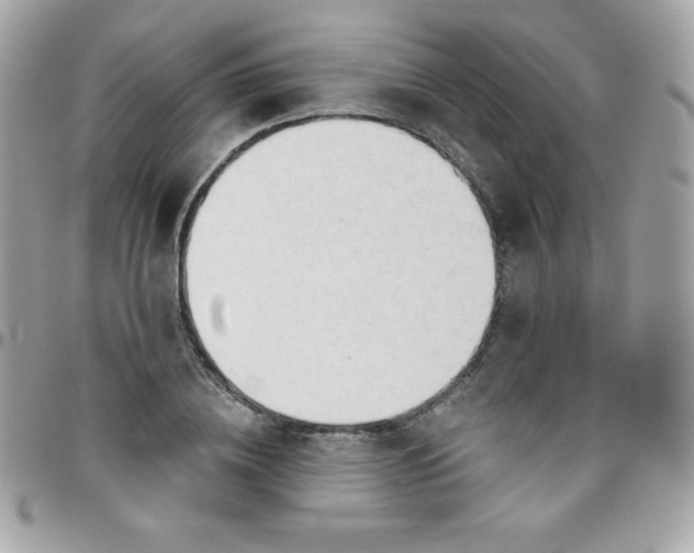 X0000097750836200803211650