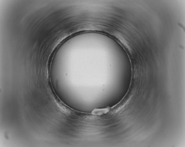 X0000097750837200803211650