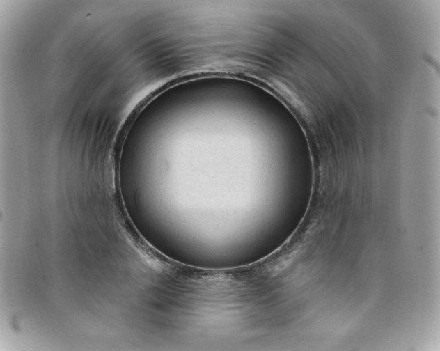 X0000097750838200803211650