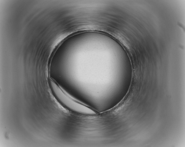 X0000097750839200803211650