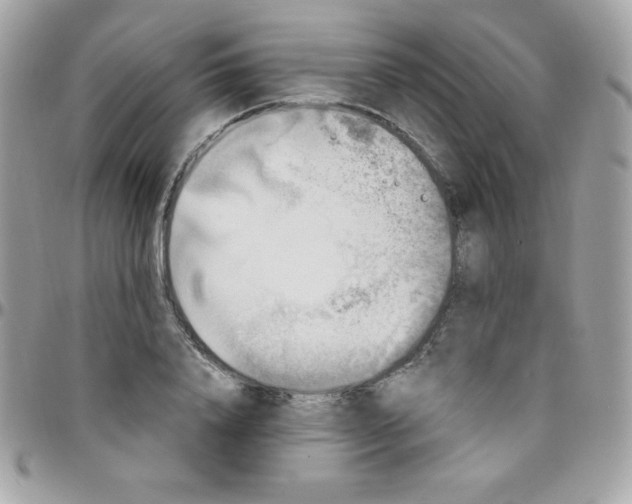 X0000097750840200803211650