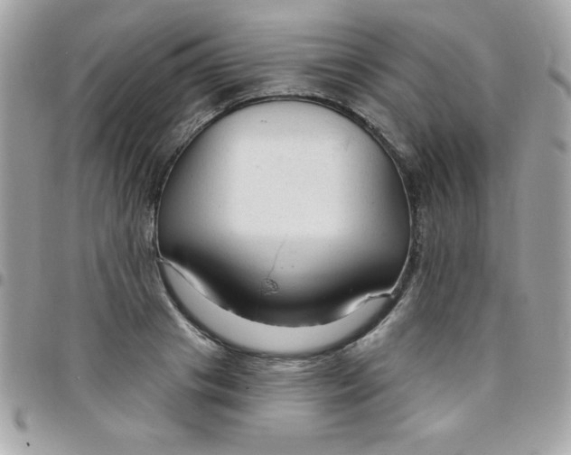 X0000097750841200803211650