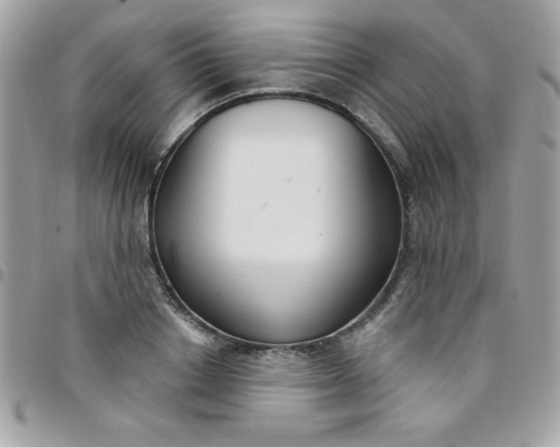 X0000097750842200803211650