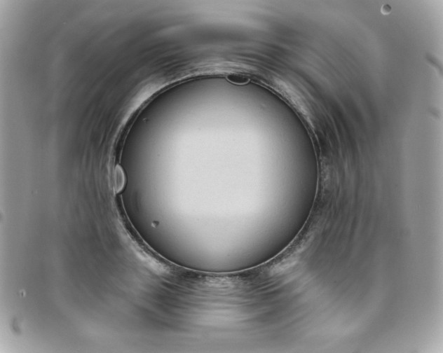 X0000097750843200803211650