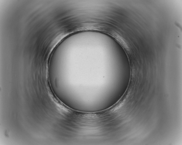 X0000097750844200803211650