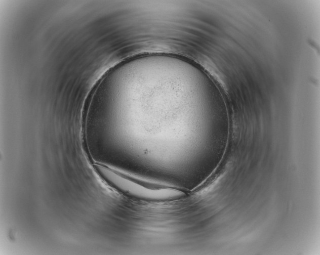 X0000097750845200803211650