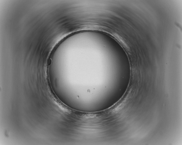 X0000097750846200803211650