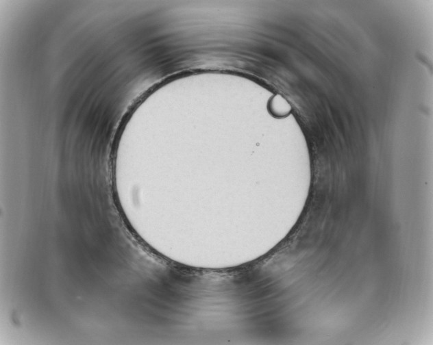 X0000097750848200803211650