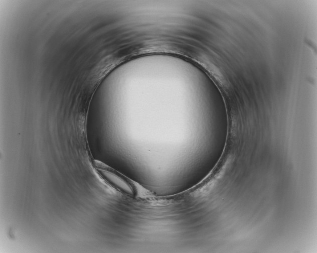 X0000097750849200803211650