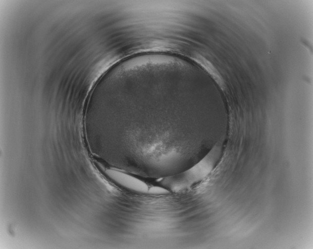 X0000097750850200803211650