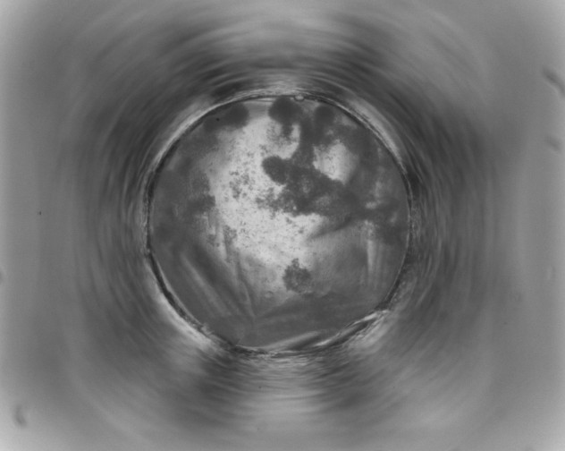 X0000097750851200803211650