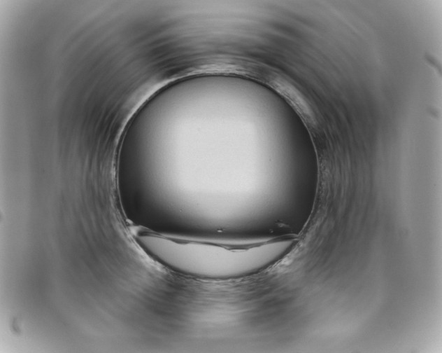 X0000097750852200803211650