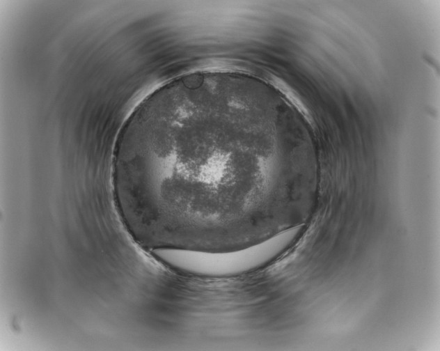 X0000097750853200803211650