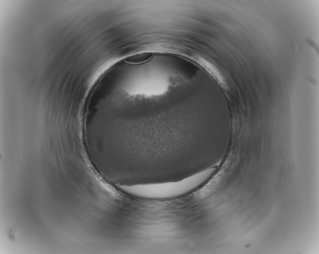 X0000097750854200803211650