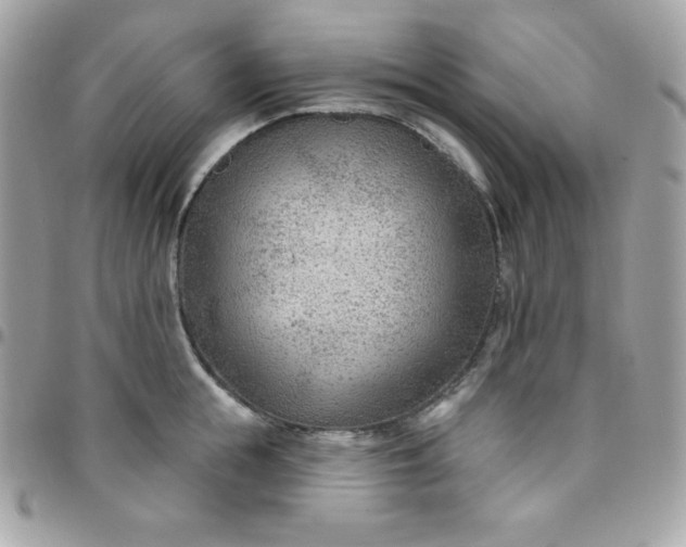 X0000097750855200803211650