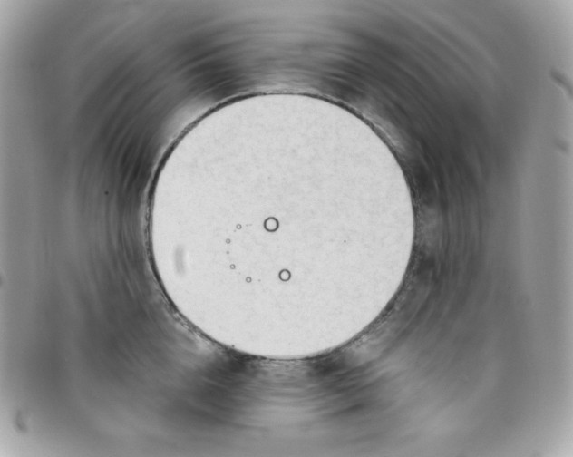 X0000097750856200803211650