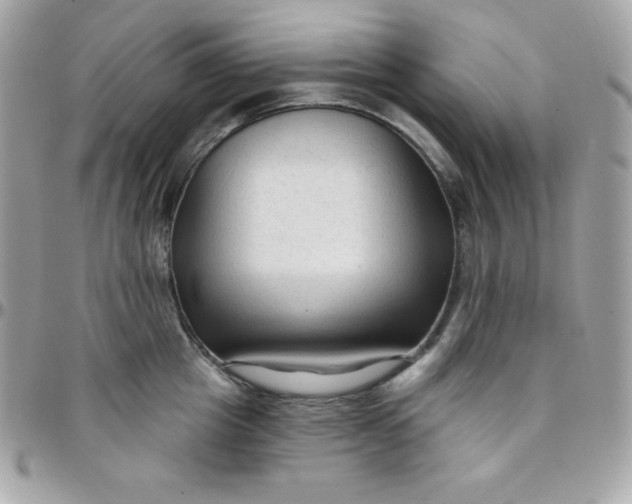 X0000097750857200803211650