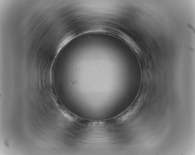 X0000097750858200803211650