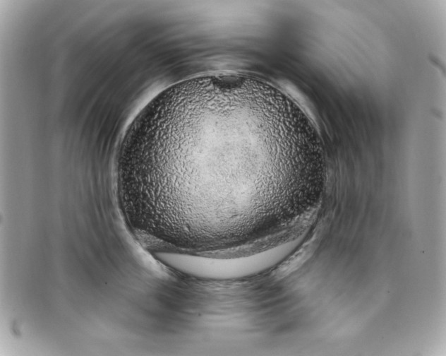 X0000097750859200803211650