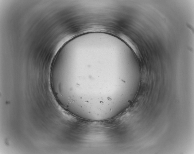 X0000097750861200803211650